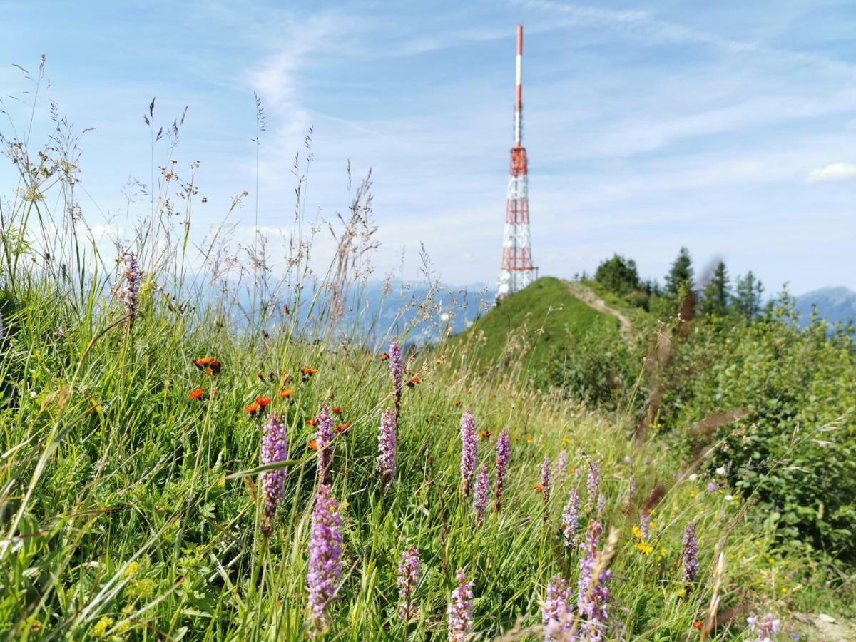 Ferienwohnung Am Eichwald Immenstadt im Allgäu Eksteriør bilde