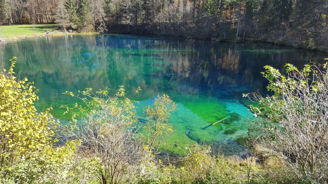 Ferienwohnung Am Eichwald Immenstadt im Allgäu Eksteriør bilde